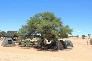 こちらはAフレーム(日よけの屋根)とトイレ、シャワースペースのある公共のキャンプサイト