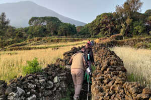 ゴリラトレッキングスタート！