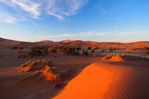 ナミブ砂漠訪問 ナミビア・キャンプ 10日間