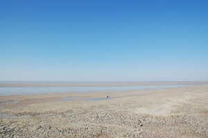 エトーシャ・パン（塩湖）を中心に約22,270㎢の広さのあるアフリカ屈指の公園
