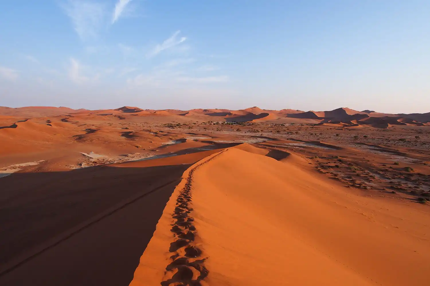 ナミブ砂漠訪問 ナミビア・キャンプ 10日間 | アフリカ旅行の道祖神