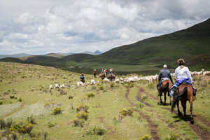 放牧中の羊たちや馬で行き来する人々とすれ違います
