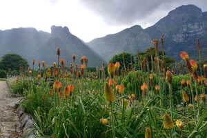 ただの植物園と侮るなかれ、世界遺産のカーステンボッシュ国立植物園