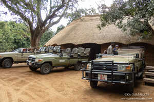 サファリカーは屋根のないフルオープンタイプ。撮影の自由度が高い 