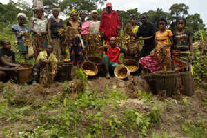 ローカルコミュニティの理解と努力でボノボと共存しています