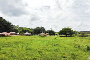 ンカラのメインキャンプ