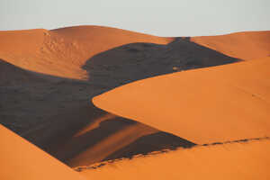 朝日に染まるナミブ砂漠