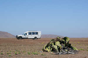 車両はランドクルーザーのストレッチタイプ 