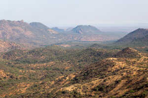 起伏に富んだライキピア高原