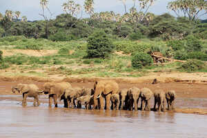 保護区の境界線を形成するエワソ・ニイロ川