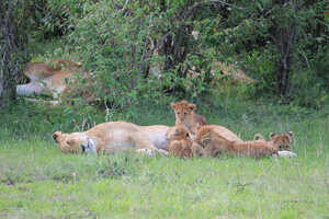 一家団欒のひととき