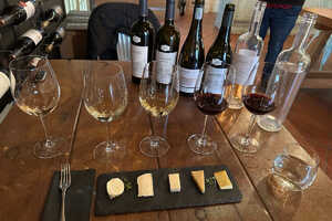 各ワイナリーでは見学の他、もちろん試飲もお楽しみいただけます