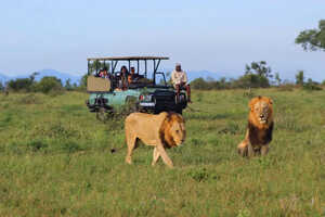 サファリはオープンタイプのサファリカーで行います