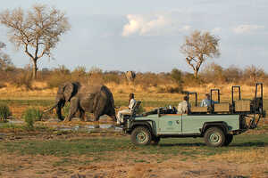 GWスペシャル クルーガー国立公園サファリとケープタウンの休日 10日間の画像