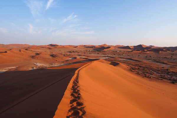 GWスペシャル ナミブ砂漠訪問 ナミビア・キャンプ 10日間の画像