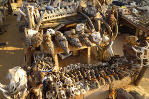 トーゴの首都ロメのフェティッシュマーケット