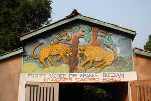 ウィダにあるブードゥーの聖なる森