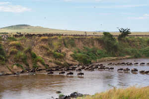 【特別企画】ヌーの大移動と北部セレンゲティ 10日間の画像
