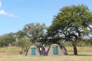 大自然の中のキャンピング