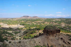 人類発祥の地『オルドバイ渓谷』