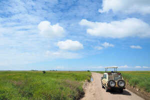 どこまでも緑の大草原が続くセレンゲティ