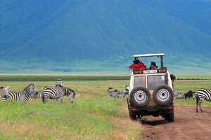 動物達との距離が近いンゴロンゴロのクレーター・サファリ