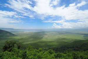 野生動物の楽園『巨大クレーター』