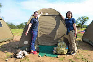 基本的にテントはクルーが設営
