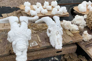 塩の結晶がこびりついた家畜の骨などが売られています