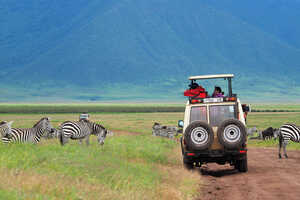 動物達との距離が近いンゴロンゴロのクレーター・サファリ