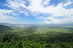 野生動物達の楽園「巨大クレーター」でのサファリも外せません。