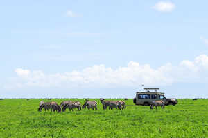 一部オフロード走行が許可されているエリアもあります