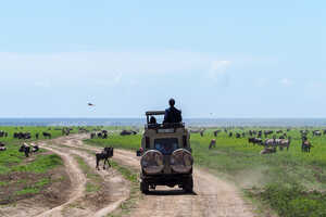 ランドクルーザーの高い目線からの観察