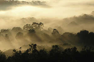 【特別企画】サファリガイド加藤直邦さんと行く 森とサバンナのサファリ 10日間の画像