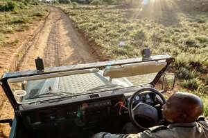 サファリは公園・保護区のオープンカーと移動に利用する一般の四駆車を使い分けて行います