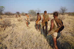 サンの人々とともに歩き、暮らしの一端を垣間見る