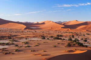 美しいアプリコットカラーの砂丘地帯が広がるナミブ砂漠