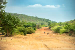 事業地へ続くラフロード