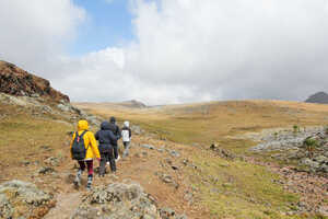 高地らしい荒涼とした風景と植生がみられます
